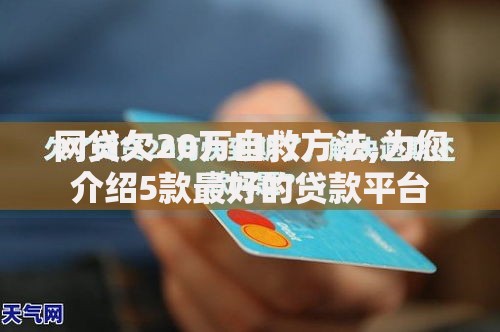 网贷欠20万自救方法,为您介绍5款最好的贷款平台
