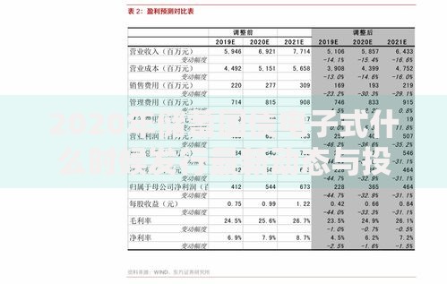 2020年储蓄国债电子式什么时候发行最新动态与投资策略分析