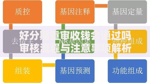 好分期重审收钱会通过吗审核流程与注意事项解析