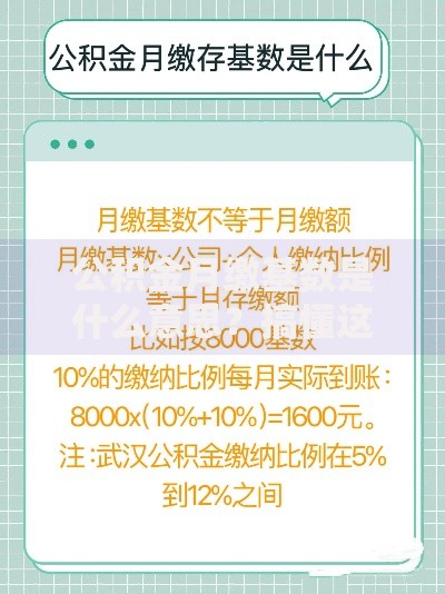 公积金月缴基数是什么意思？搞懂这个数才算真懂缴存