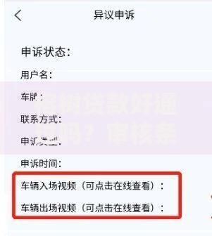 榕树贷款好通过吗？审核条件与申请全解析