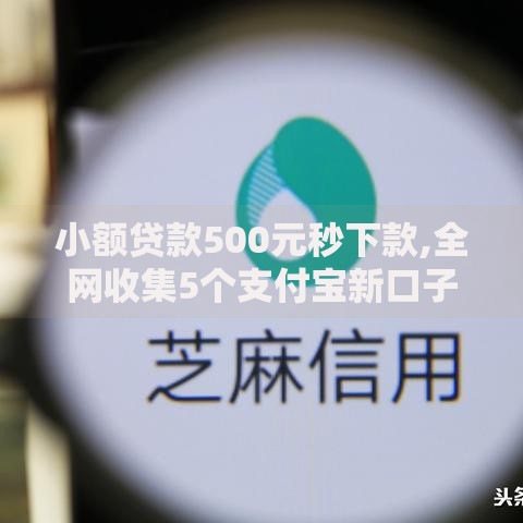 小额贷款500元秒下款,全网收集5个支付宝新口子人人一千