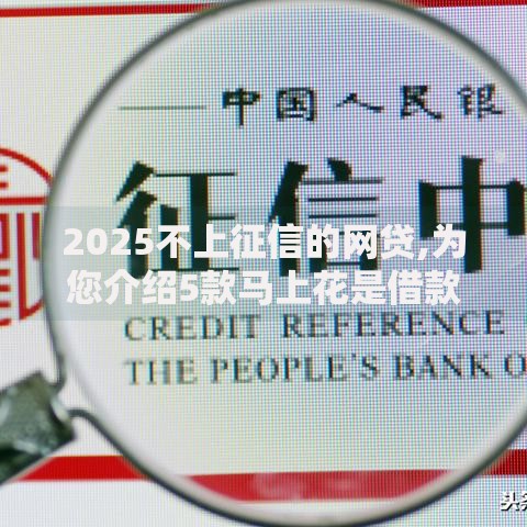 2025不上征信的网贷,为您介绍5款马上花是借款平台贷款