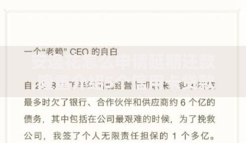 安逸花怎么申请延期还款,隆重介绍5个信用卡贷款平台