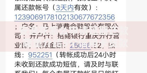 安逸花怎么申请延期还款,隆重介绍5个信用卡贷款平台