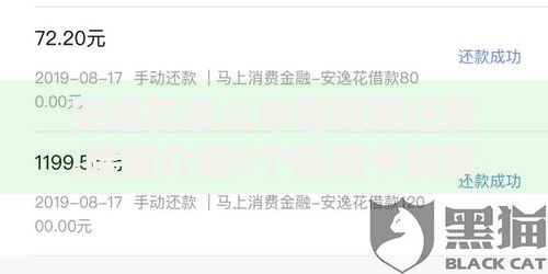 安逸花怎么申请延期还款,隆重介绍5个信用卡贷款平台