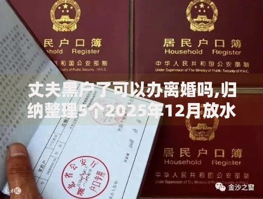 丈夫黑户了可以办离婚吗,归纳整理5个2025年12月放水口子