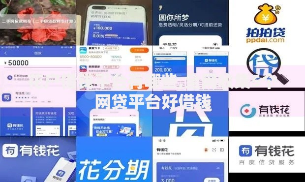花户借钱平台有哪些,全网收集5个网贷平台好借钱