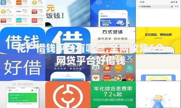 花户借钱平台有哪些,全网收集5个网贷平台好借钱