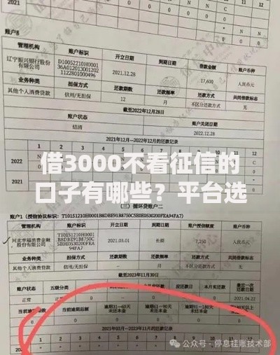 借3000不看征信的口子有哪些？平台选择与风险指南