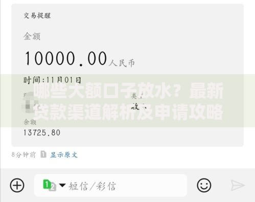 哪些大额口子放水？最新贷款渠道解析及申请攻略