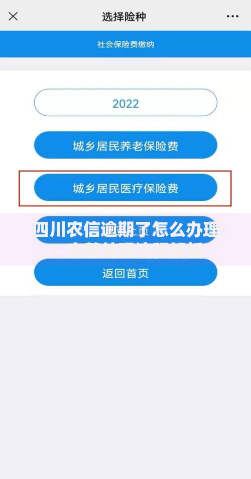 四川农信逾期了怎么办理?完整处理流程解析 四川农信逾期了怎么办理?完整处理流程解析