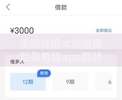 无视征信大数据稀烂急用钱app能秒下款吗？真实审核流程解析