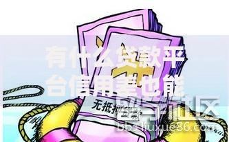 有什么贷款平台信用差也能通过？低门槛贷款渠道深度解析