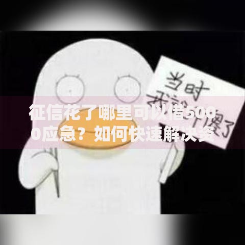 征信花了哪里可以借5000应急？如何快速解决资金需求