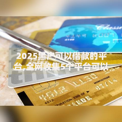 2025黑户可以借款的平台,全网收集5个平台可以大额贷款