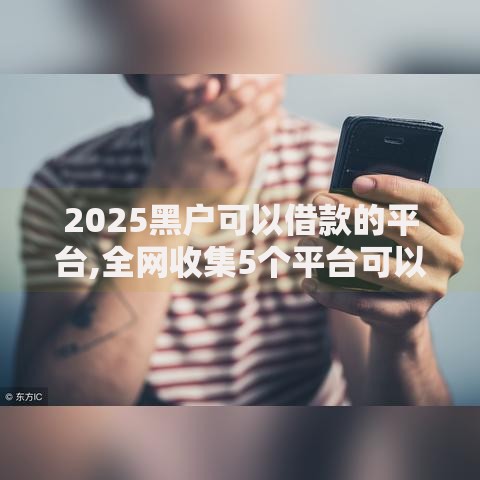 2025黑户可以借款的平台,全网收集5个平台可以大额贷款