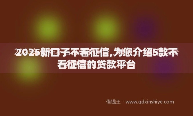 2025新口子不看征信,为您介绍5款不看征信的贷款平台
