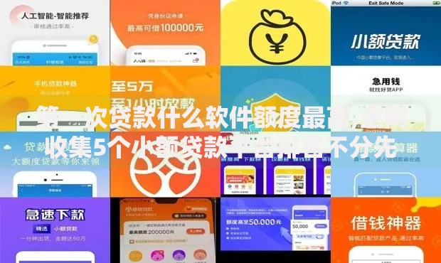 第一次贷款什么软件额度最高,全网收集5个小额贷款平台排名不分先后 第一次贷款什么软件额度最高,全网收集5个小额贷款平台排名不分先后