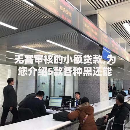 无需审核的小额贷款,为您介绍5款各种黑还能下款的口子