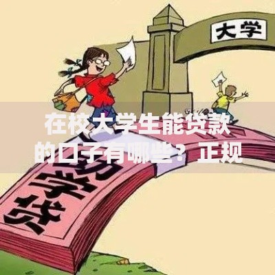 在校大学生能贷款的口子有哪些?正规渠道与申请条件解析 在校大学生能贷款的口子有哪些?正规渠道与申请条件解析