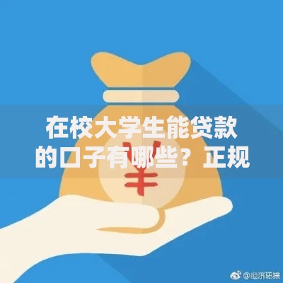 在校大学生能贷款的口子有哪些?正规渠道与申请条件解析 在校大学生能贷款的口子有哪些?正规渠道与申请条件解析