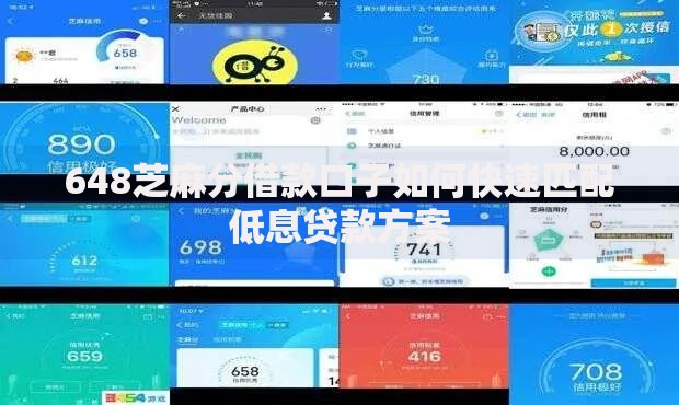 648芝麻分借款口子如何快速匹配低息贷款方案