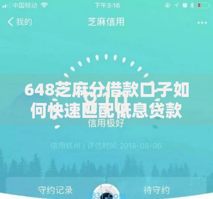 648芝麻分借款口子如何快速匹配低息贷款方案