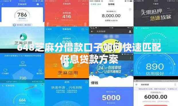 648芝麻分借款口子如何快速匹配低息贷款方案