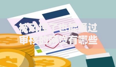 被风控了也能通过审核的网贷有哪些？全面解析低门槛贷款渠道