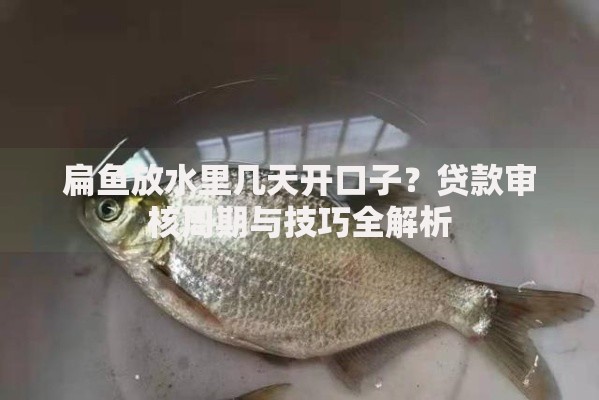 扁鱼放水里几天开口子?贷款审核周期与技巧全解析 扁鱼放水里几天开口子?贷款审核周期与技巧全解析