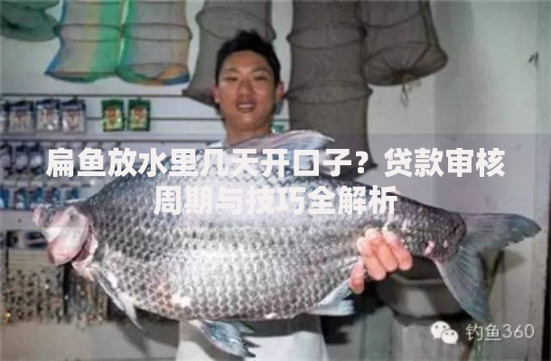 扁鱼放水里几天开口子?贷款审核周期与技巧全解析 扁鱼放水里几天开口子?贷款审核周期与技巧全解析
