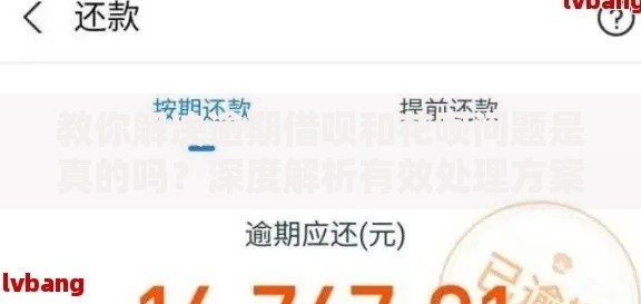 教你解决逾期借呗和花呗问题是真的吗?深度解析有效处理方案 教你解决逾期借呗和花呗问题是真的吗?深度解析有效处理方案