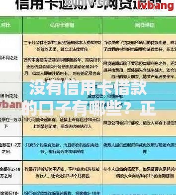 没有信用卡借款的口子有哪些？正规平台推荐与申请指南