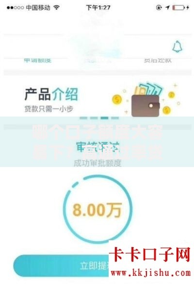 哪个口子额度大容易下?高通过率贷款平台评测与申请攻略 哪个口子额度大容易下?高通过率贷款平台评测与申请攻略