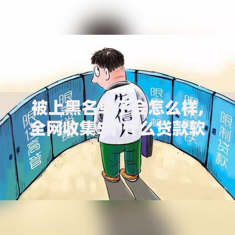 被上黑名单了会怎么样,全网收集5个什么贷款软件不上征信不用还