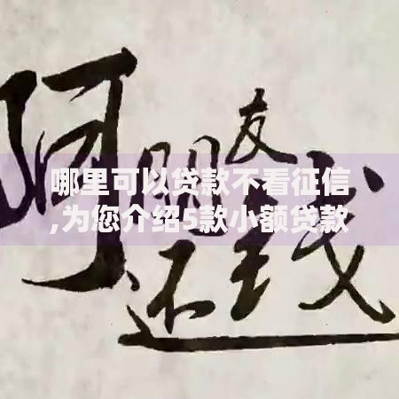 哪里可以贷款不看征信,为您介绍5款小额贷款平台好下款不看征信