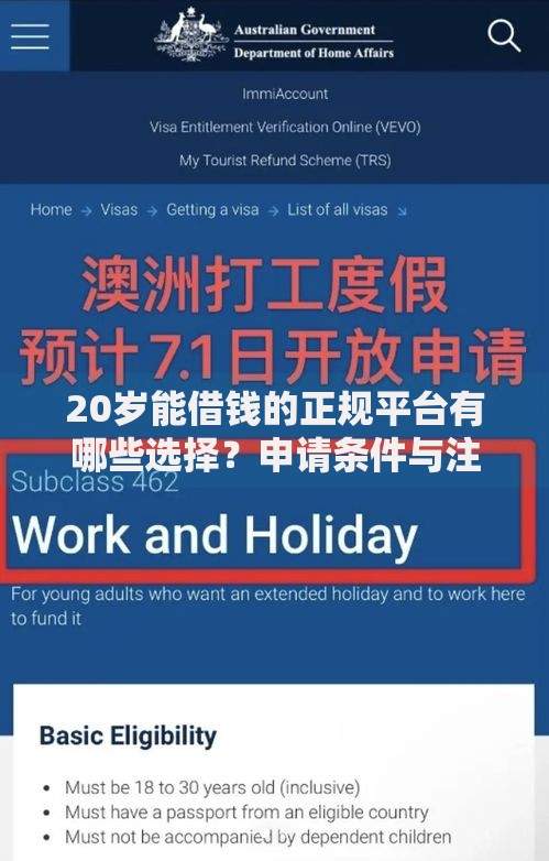 20岁能借钱的正规平台有哪些选择？申请条件与注意事项解析