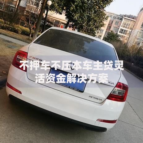 不押车不压本车主贷灵活资金解决方案