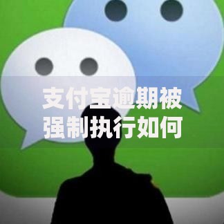 支付宝逾期被强制执行如何避免法律风险？全面解析应对策略