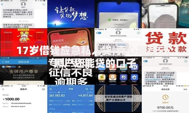 17岁借钱应急私人贷,真心推荐5个黑户还能贷的口子