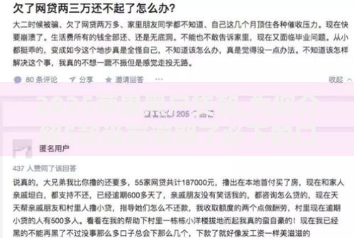 2025苹果黑户贷款,为您介绍5款当前逾期了必下的口子