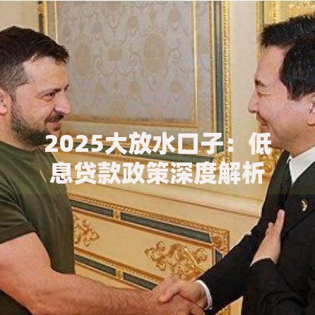 2025大放水口子：低息贷款政策深度解析