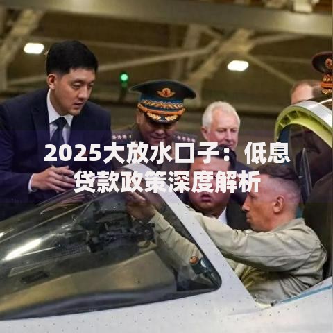 2025大放水口子：低息贷款政策深度解析