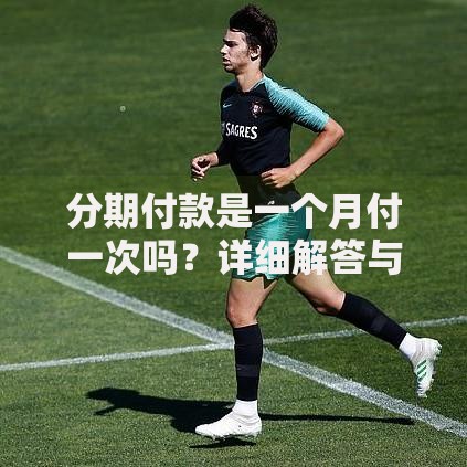 分期付款是一个月付一次吗？详细解答与注意事项