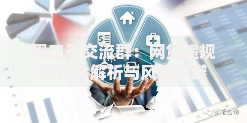 黑口子交流群：网贷违规操作全解析与风险规避