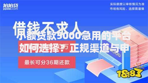 小额贷款5000急用的平台如何选择？正规渠道与申请流程解析