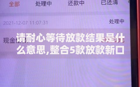请耐心等待放款结果是什么意思,整合5款放款新口子