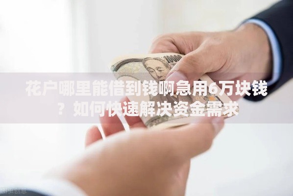 花户哪里能借到钱啊急用6万块钱?如何快速解决资金需求 花户哪里能借到钱啊急用6万块钱?如何快速解决资金需求