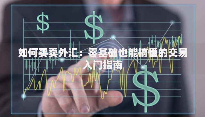 如何买卖外汇：零基础也能搞懂的交易入门指南